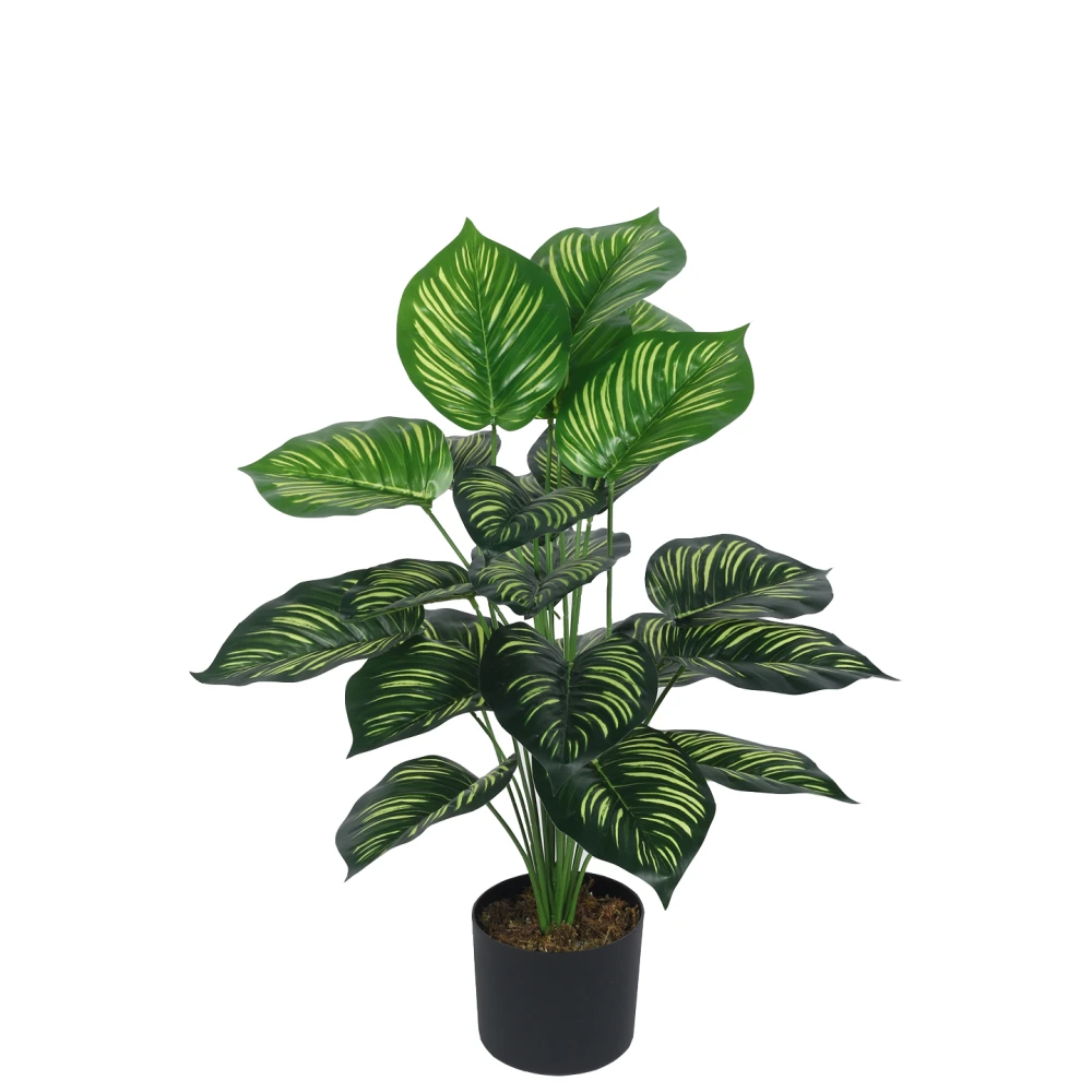 Artificial Plant 31inch Artificial Real Touch Calathea With Black Pot |Home Decor,Office Decor Perfect decor Gift,Set of 1
