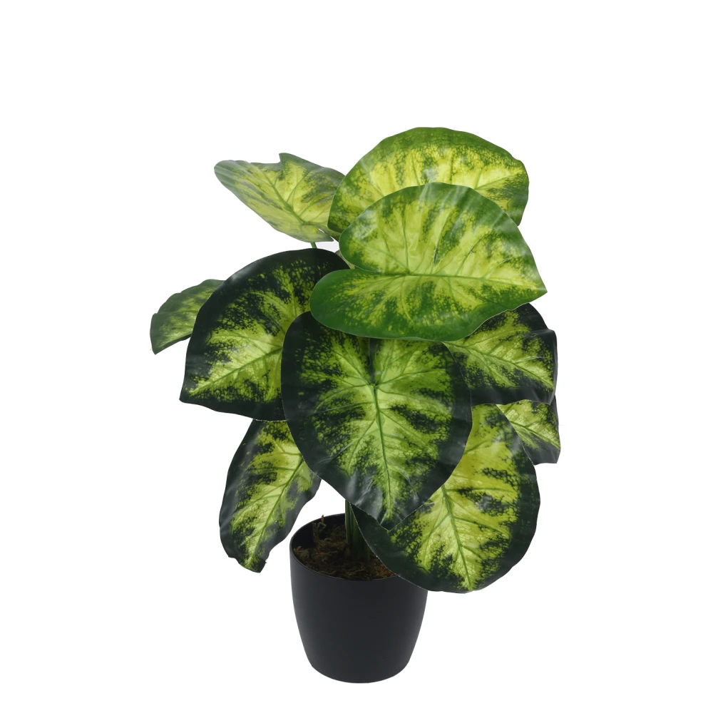 Artificial Plant 21inch Artificial Real Touch Dieffenbachia With Black Pot |Home Decor,Office Decor Perfect decor Gift,Set of 1