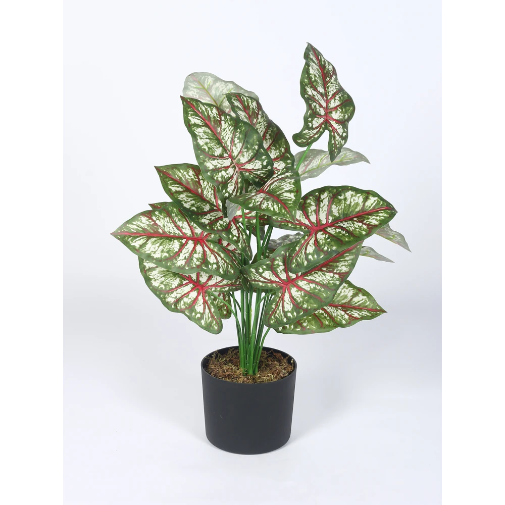 Artificial Plants 24inch Artificial Tropical Caladium Plants With Black Pot|Home Decor,Office Decor Perfect Housewarming Gift,Set of 1