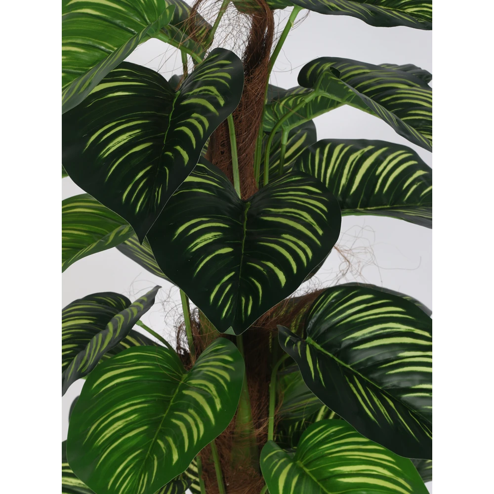 Artificial Plant  47inch Artificial Real Touch Calathea Plants With Black Pot |Home Decor,Office Decor Perfect decor Gift,Set of 1