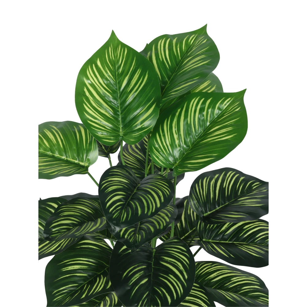 Artificial Plant 31inch Artificial Real Touch Calathea With Black Pot |Home Decor,Office Decor Perfect decor Gift,Set of 1
