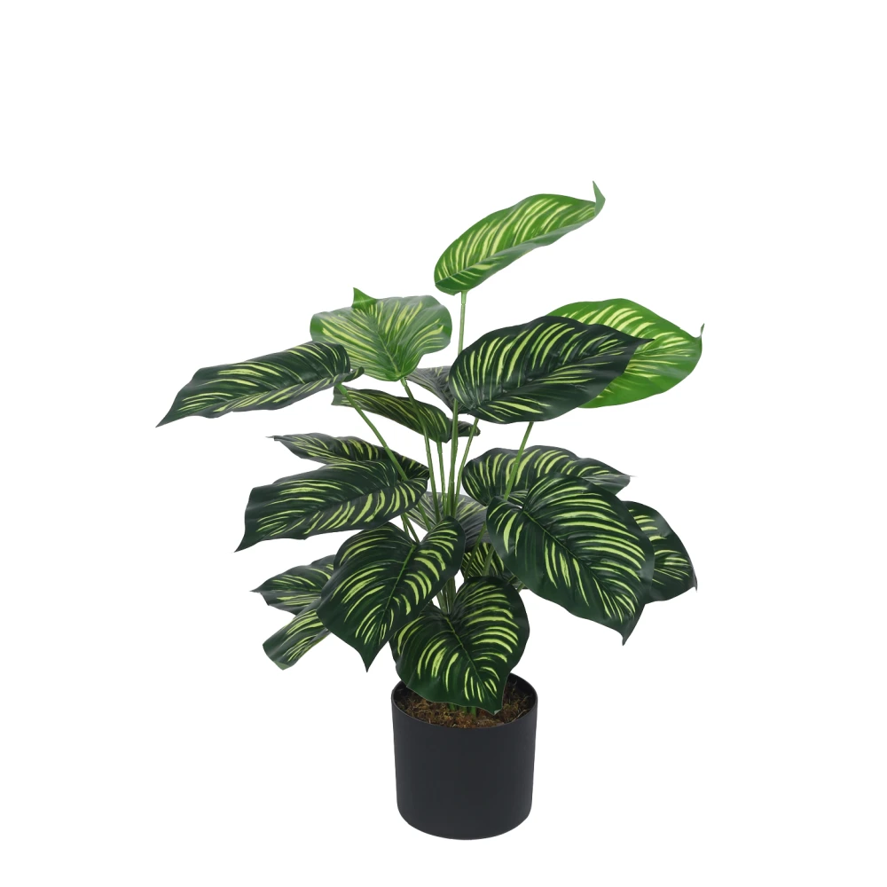 Artificial Plant 27inch Artificial Real Touch Dieffenbachia With Black Pot |Home Decor,Office Decor Perfect decor Gift,Set of 1