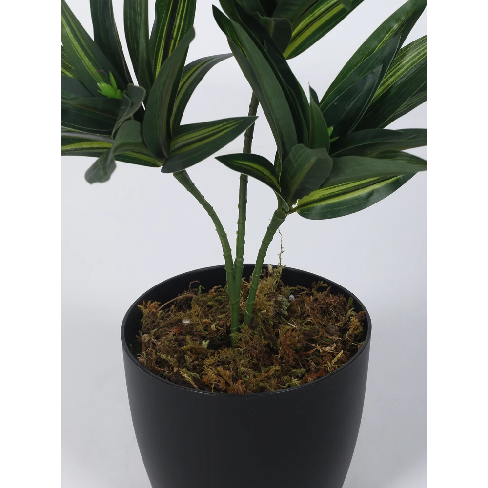Artificial Plant 15inch Artificial Dracaena Plants With Black Pot|Home Decor,Office Decor Perfect,Set of 1