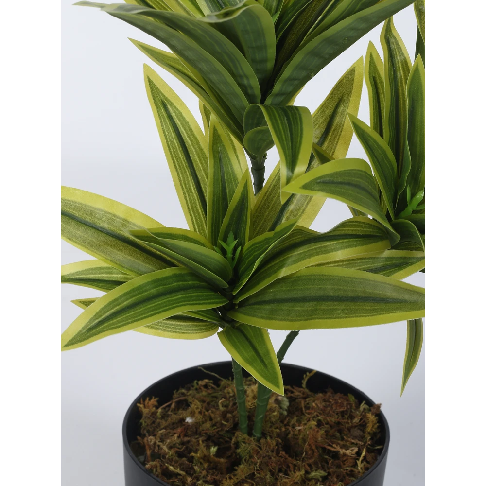 Artificial Plant 15inch Artificial Dracaena Plants With Black Pot|Home Decor,Office Decor Perfect,Set of 1