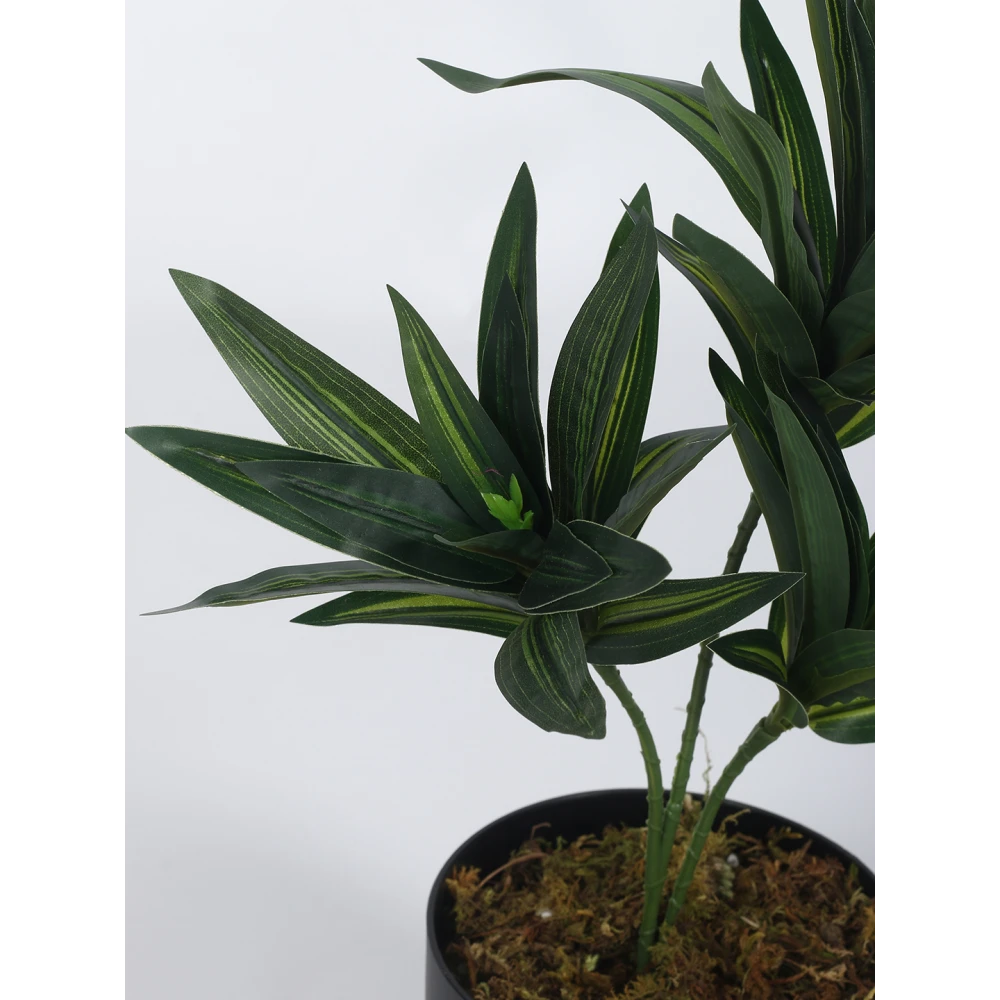 Artificial Plant 15inch Artificial Dracaena Plants With Black Pot|Home Decor,Office Decor Perfect,Set of 1