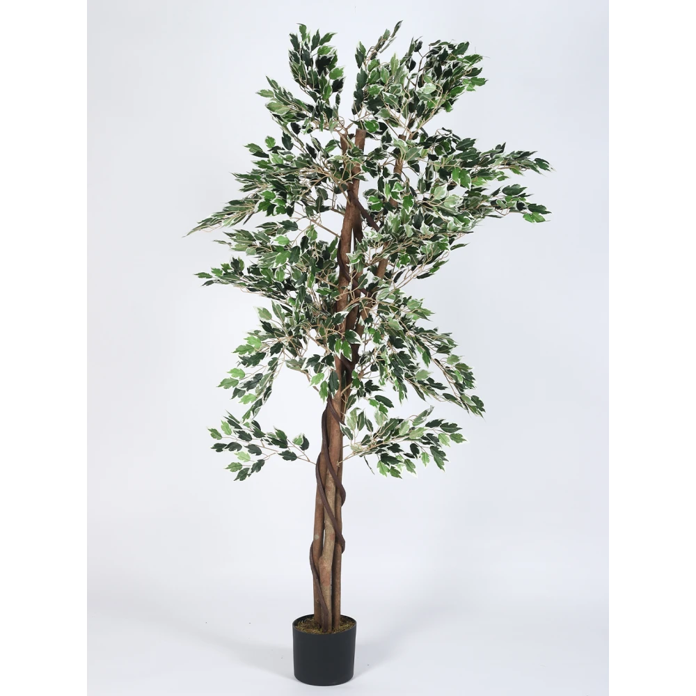 Artificial Plant 63inch Artificial Ficus Plants With Black Pot|Home Decor,Office Decor Perfect Gift,Set of 1