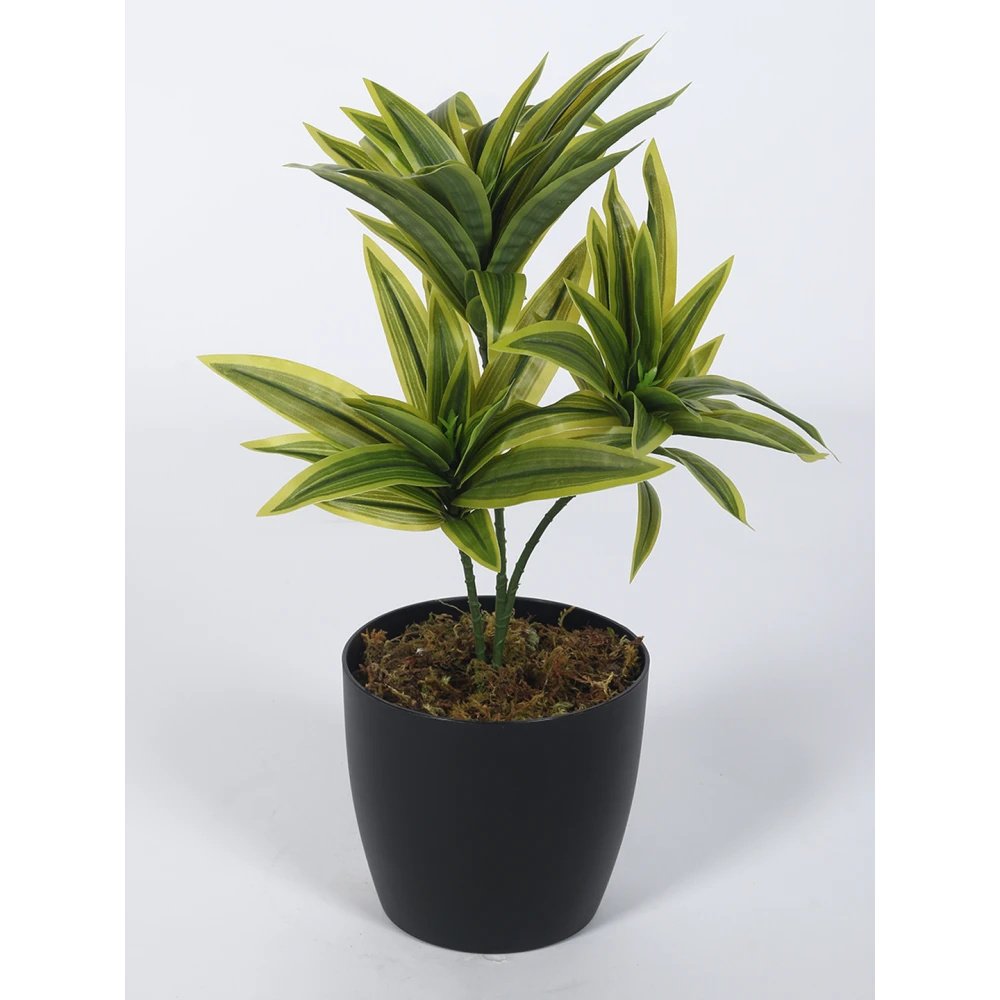 Artificial Plant 15inch Artificial Dracaena Plants With Black Pot|Home Decor,Office Decor Perfect,Set of 1