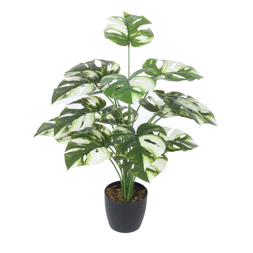 Artificial Plant 27inch Artificial Real Touch Calathea With Black Pot |Home Decor,Office Decor Perfect decor Gift,Set of 1