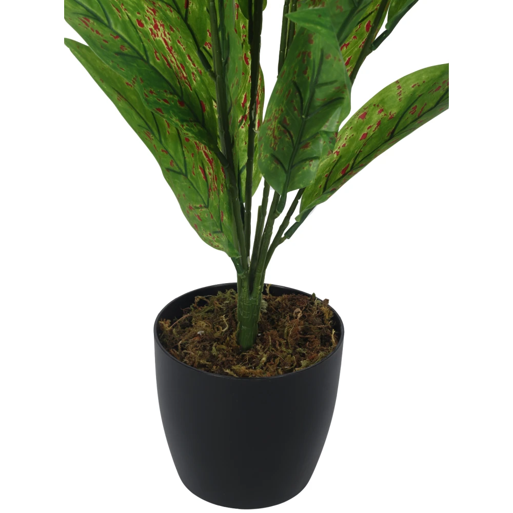 Artificial Plant 27inch Artificial Red Croton Plants With Black Pot|Home Decor,Office Decor Perfect,Set of