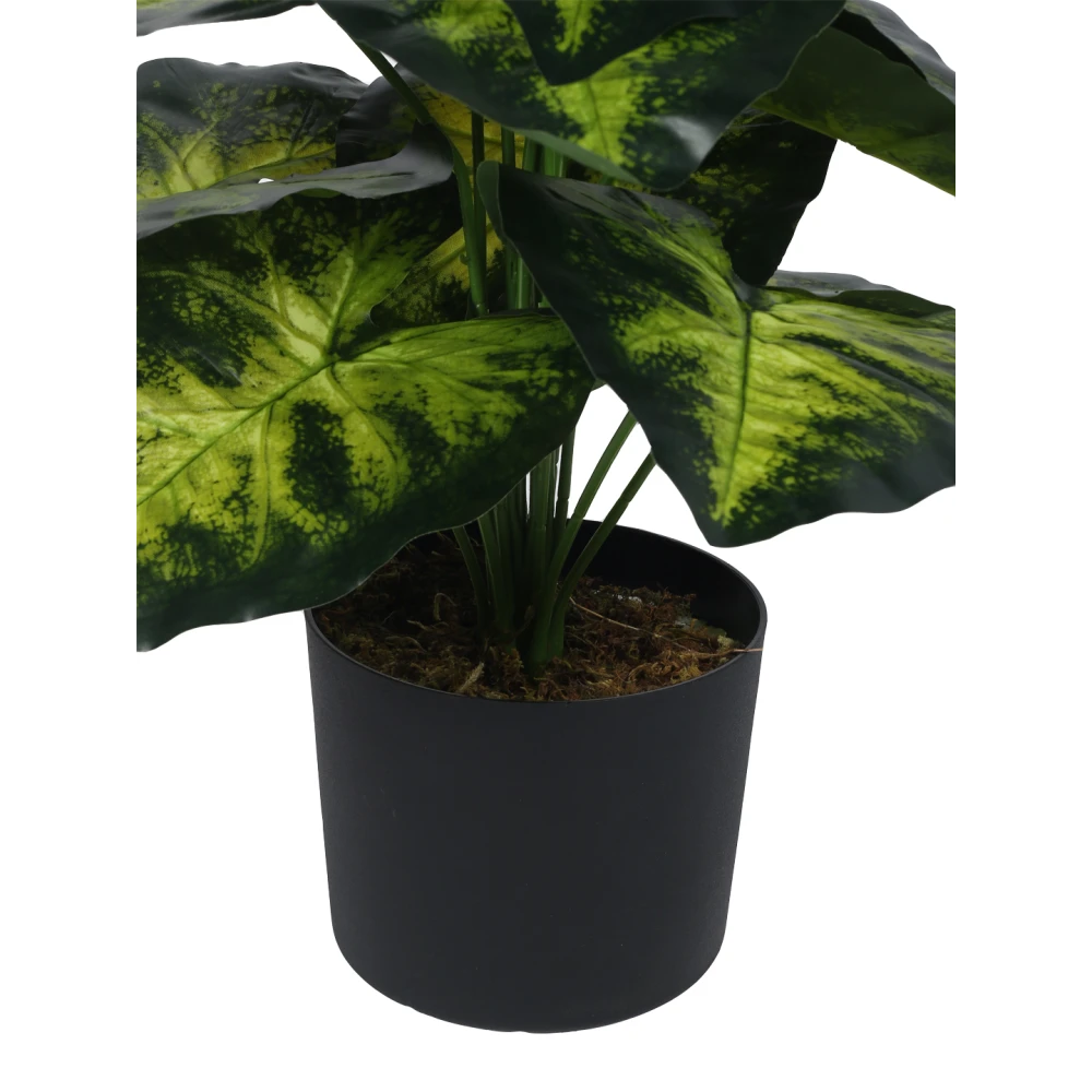 Artificial Plant 31inch Artificial Real Touch Dieffenbachia With Black Pot |Home Decor,Office Decor Perfect decor Gift,Set of 1