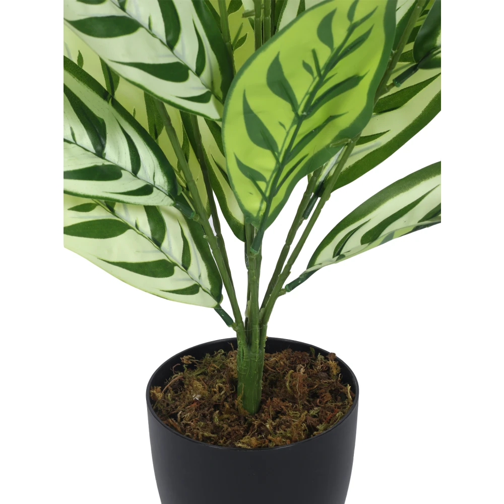 Artificial Plant  27inch Artificial Croton Plants With Black Pot|Home Decor,Office Decor Perfect,Set of 1