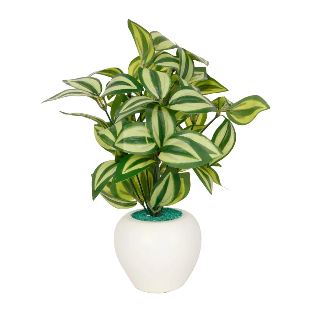 FOLIYAJ Pepperomia Artificial Plant with Apple Pot |Plants for Home Decor| Indoor Plants for Living Room