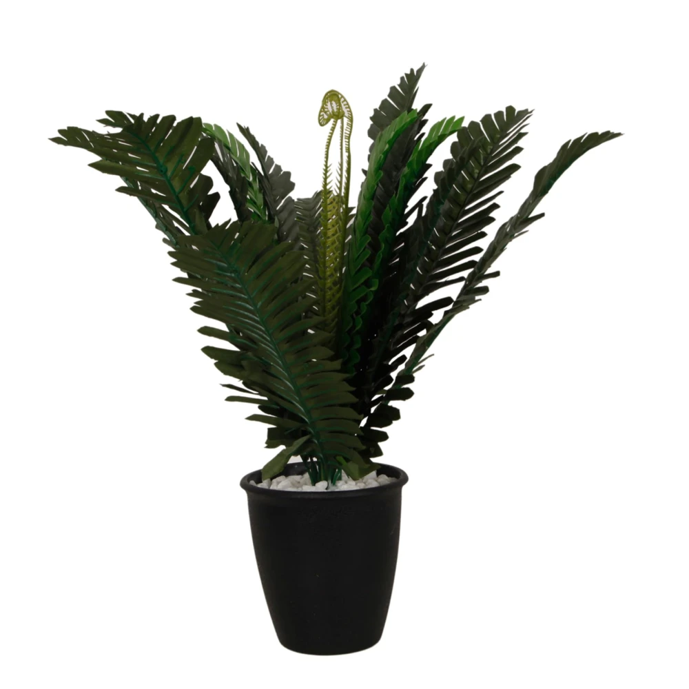 FOLIYAJ Artificial Plant with Plastic Pot for Home Decor | Decoration Items for Living Room | Decorative Table Top Indoor Plants Bonsai for Office Desks & Counters (Fern in Black Pot)