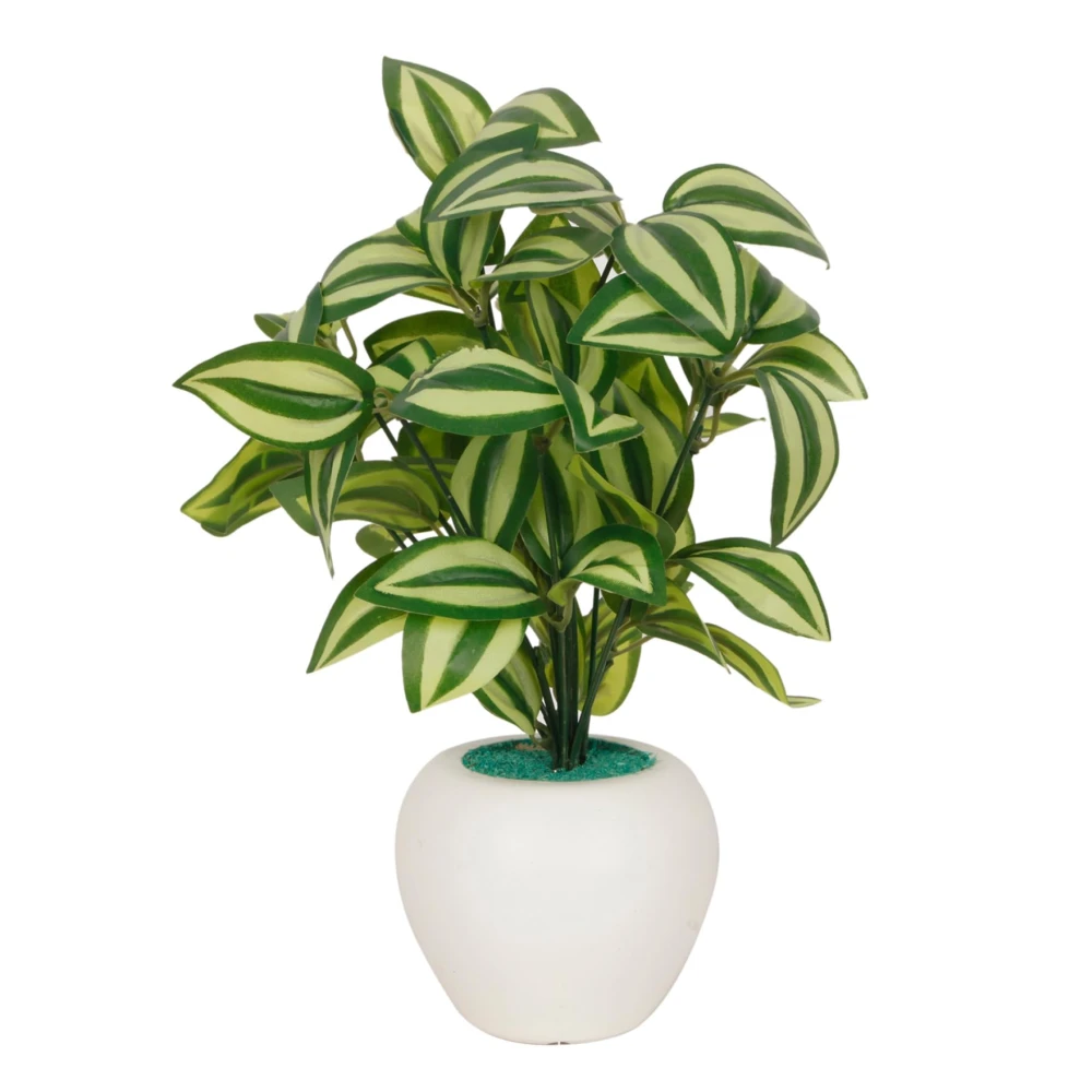FOLIYAJ Pepperomia Artificial Plant with Apple Pot |Plants for Home Decor| Indoor Plants for Living Room