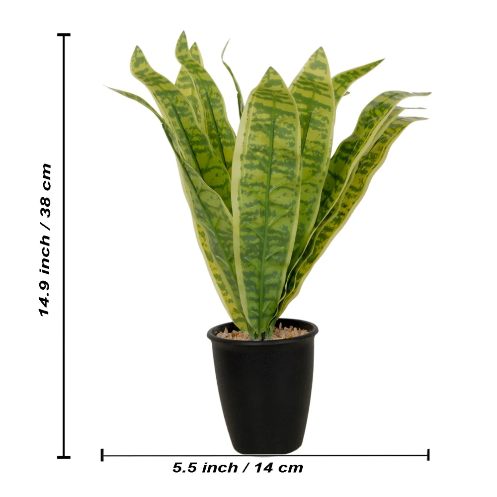 FOLIYAJ Artificial Snake Plant with Black Pot |Plants for Home Decor| Indoor Plants for Living Room