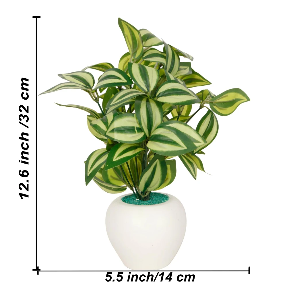 FOLIYAJ Pepperomia Artificial Plant with Apple Pot |Plants for Home Decor| Indoor Plants for Living Room