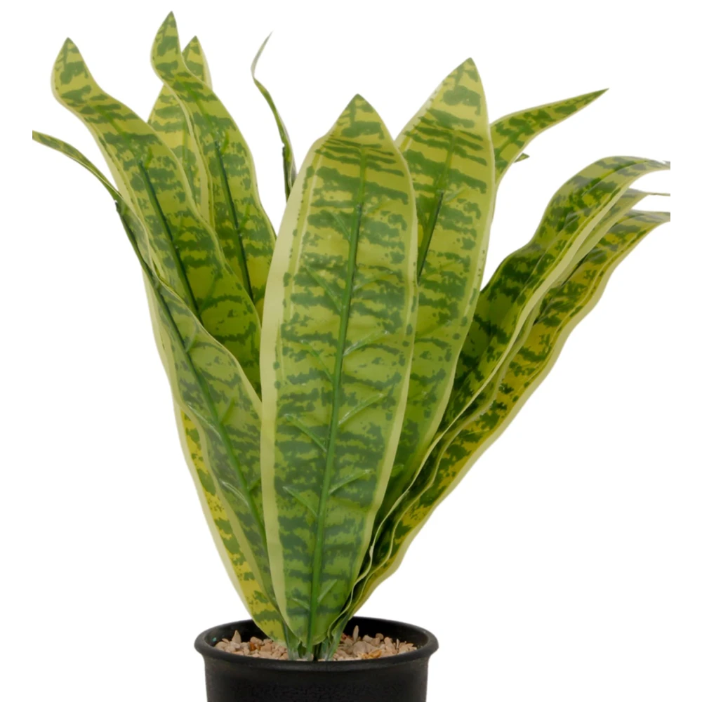 FOLIYAJ Artificial Snake Plant with Black Pot |Plants for Home Decor| Indoor Plants for Living Room