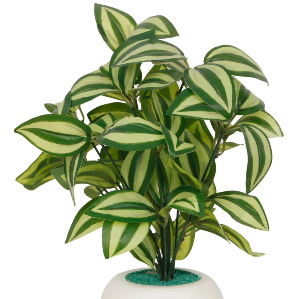 FOLIYAJ Pepperomia Artificial Plant with Apple Pot |Plants for Home Decor| Indoor Plants for Living Room