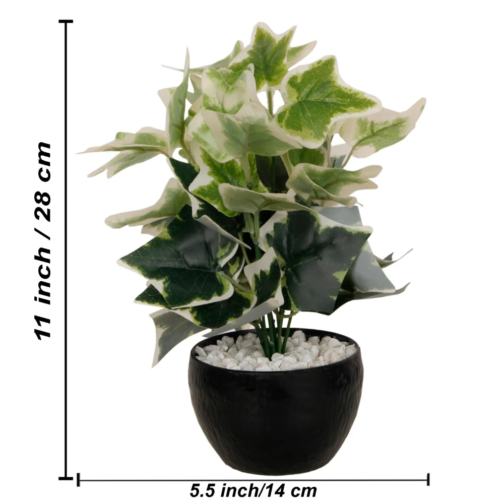 FOLIYAJ Artificial Ivy Plant with Black Pot |Plants for Home Decor| Indoor Plants for Living Room|Potted Plants