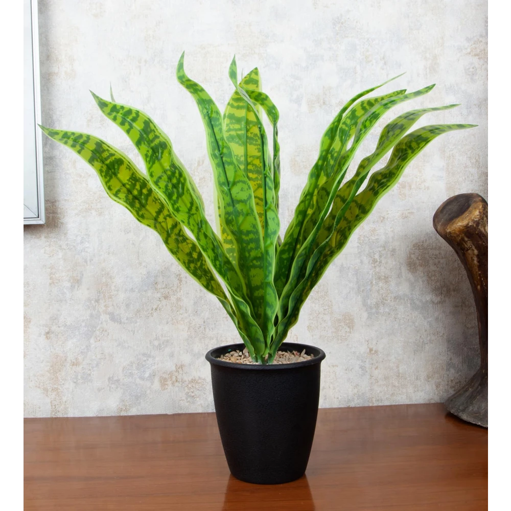 FOLIYAJ Artificial Snake Plant with Black Pot |Plants for Home Decor| Indoor Plants for Living Room