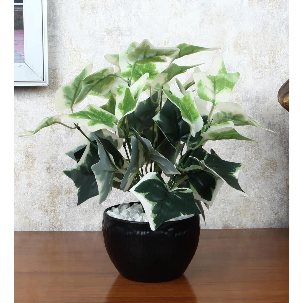 FOLIYAJ Artificial Ivy Plant with Black Pot |Plants for Home Decor| Indoor Plants for Living Room|Potted Plants