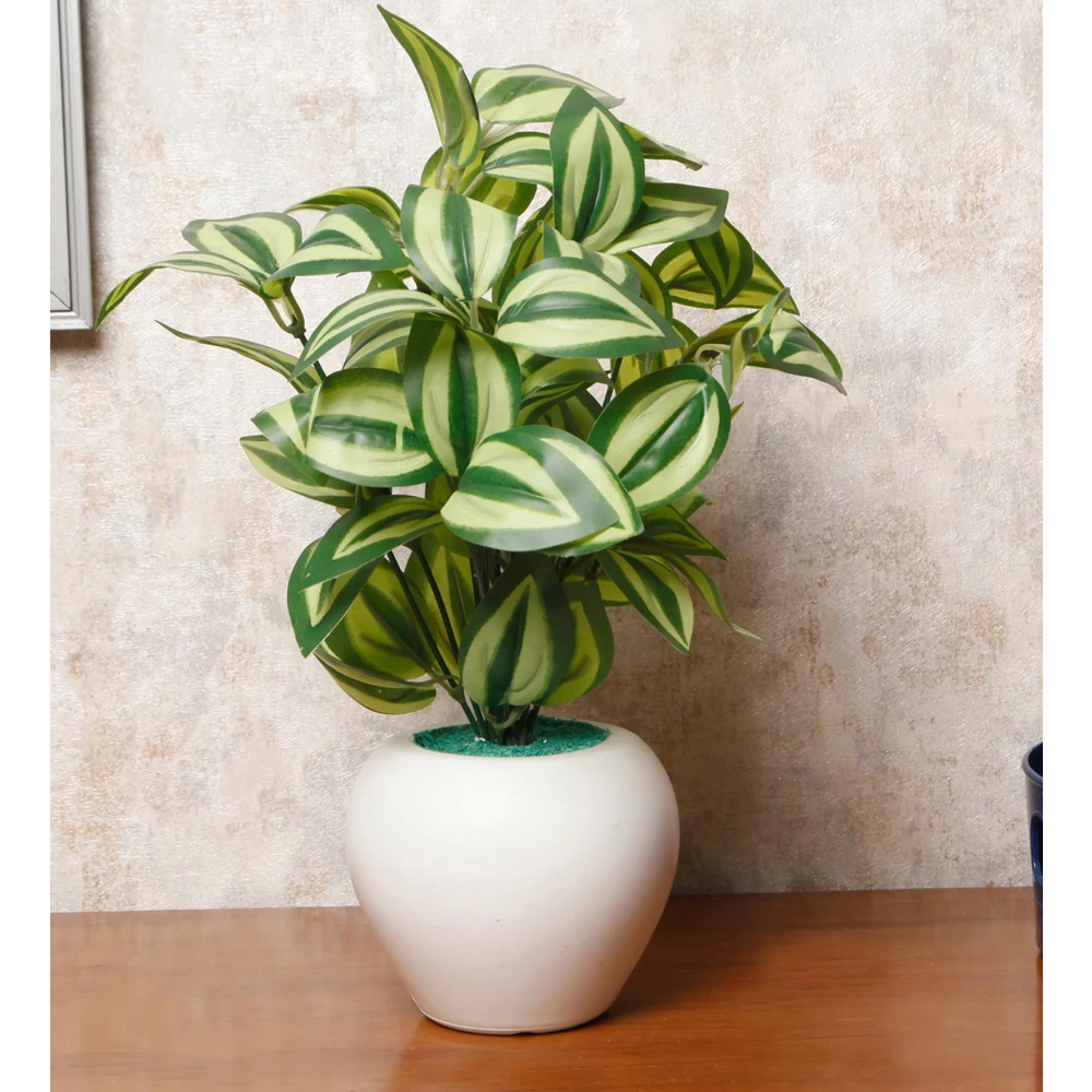 FOLIYAJ Pepperomia Artificial Plant with Apple Pot |Plants for Home Decor| Indoor Plants for Living Room