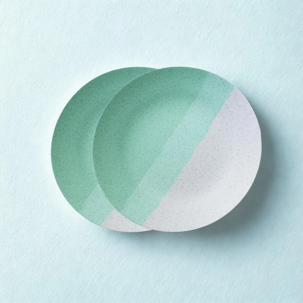 Set of 2 Modern Ceramic Dinner Plates – 10.6'' Speckled Stoneware Plates with Half Mint Green & White Design/Microwave & Dishwasher Safe