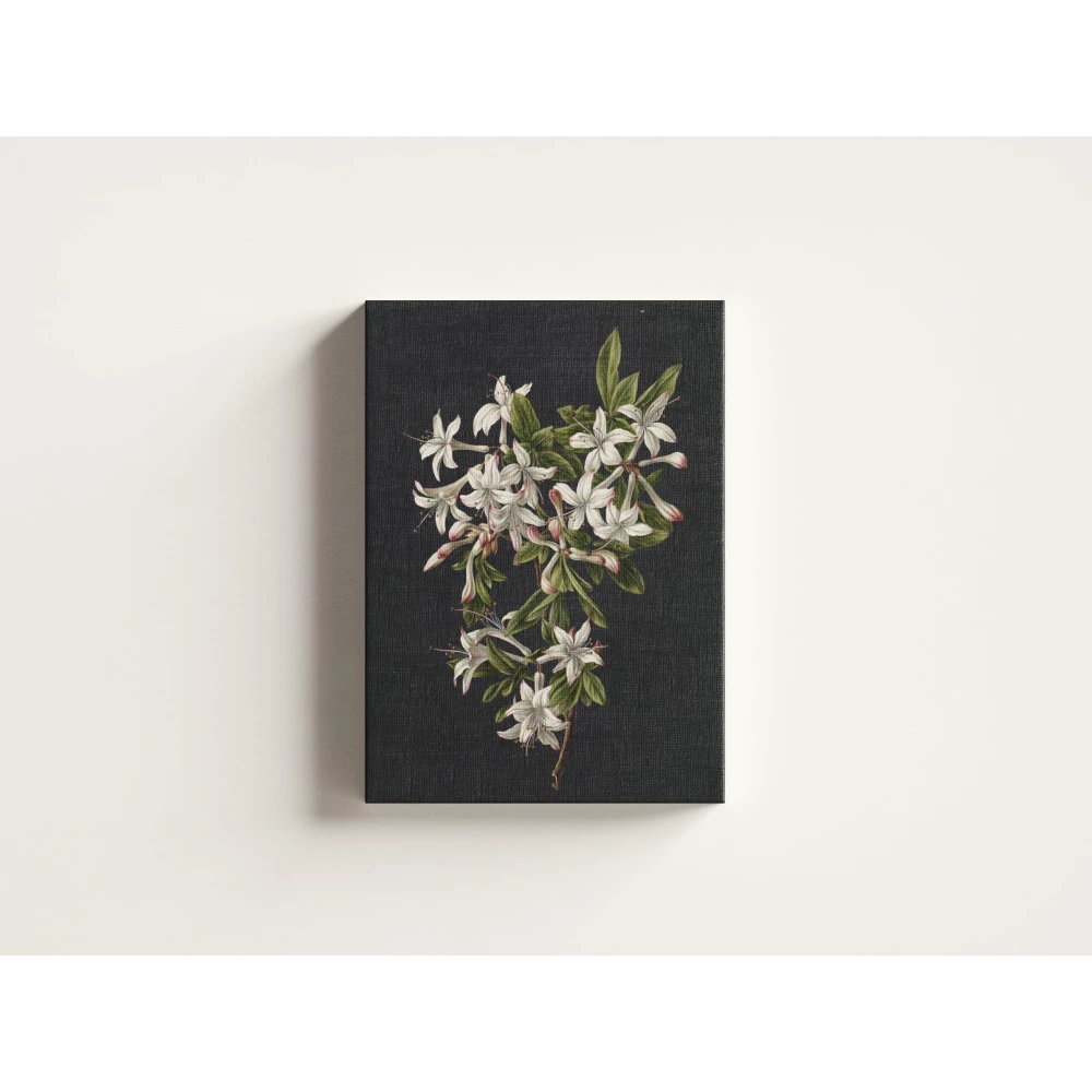 FURNISHUB Branch of Azaleas in Bloom, M. de Gijselaar 1831 | Famous Artwork | Canvas Painting | Gift | Wrapped Museum Finished Canvas