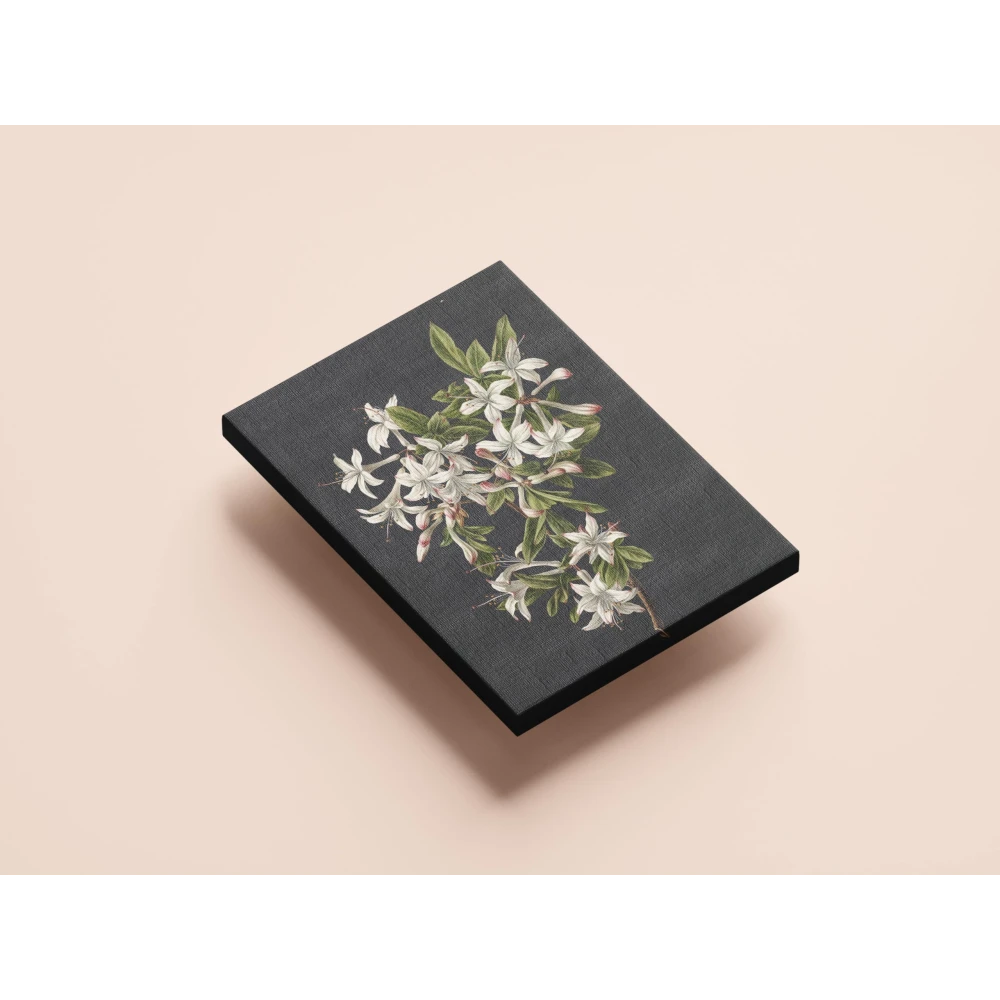 FURNISHUB Branch of Azaleas in Bloom, M. de Gijselaar 1831 | Famous Artwork | Canvas Painting | Gift | Wrapped Museum Finished Canvas