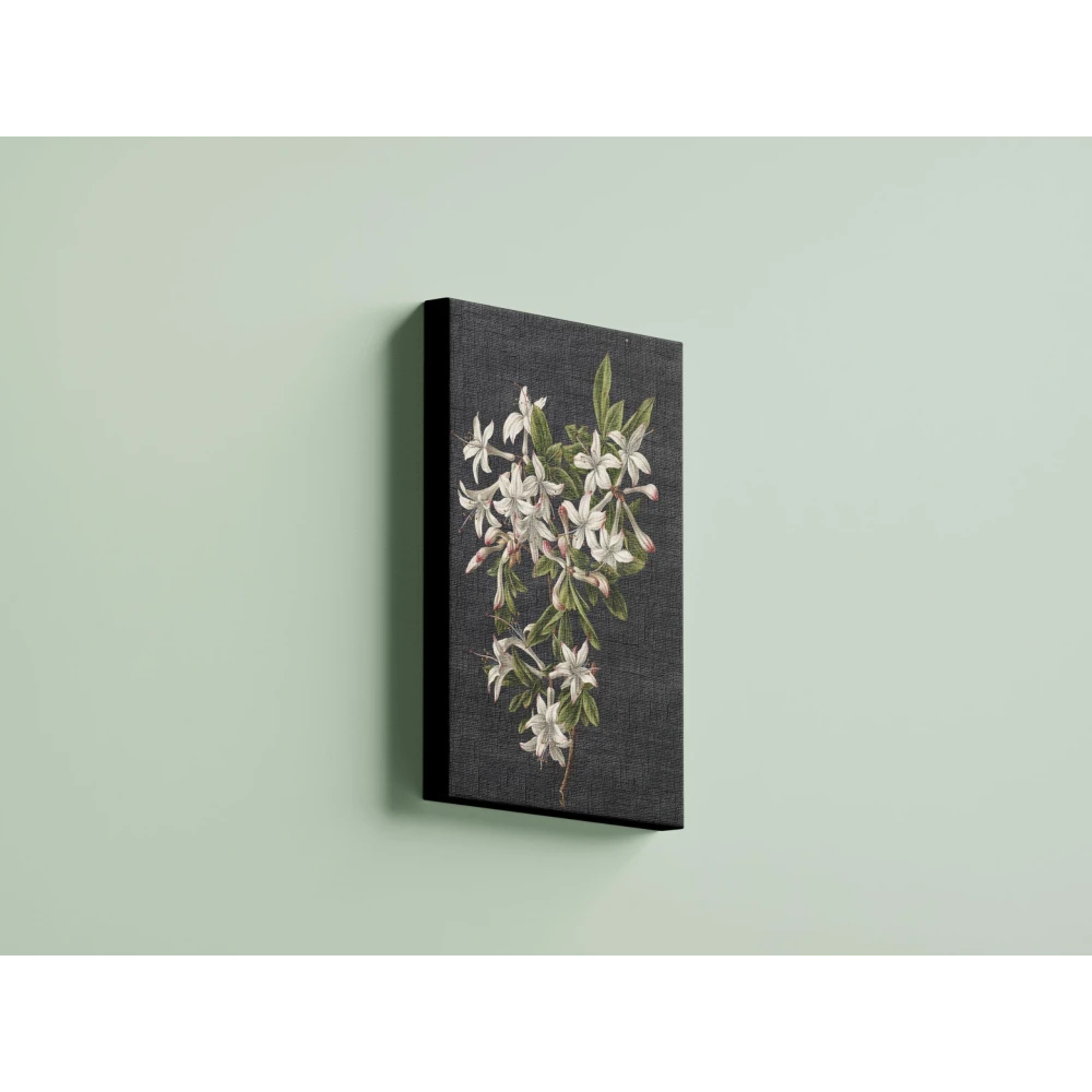 FURNISHUB Branch of Azaleas in Bloom, M. de Gijselaar 1831 | Famous Artwork | Canvas Painting | Gift | Wrapped Museum Finished Canvas