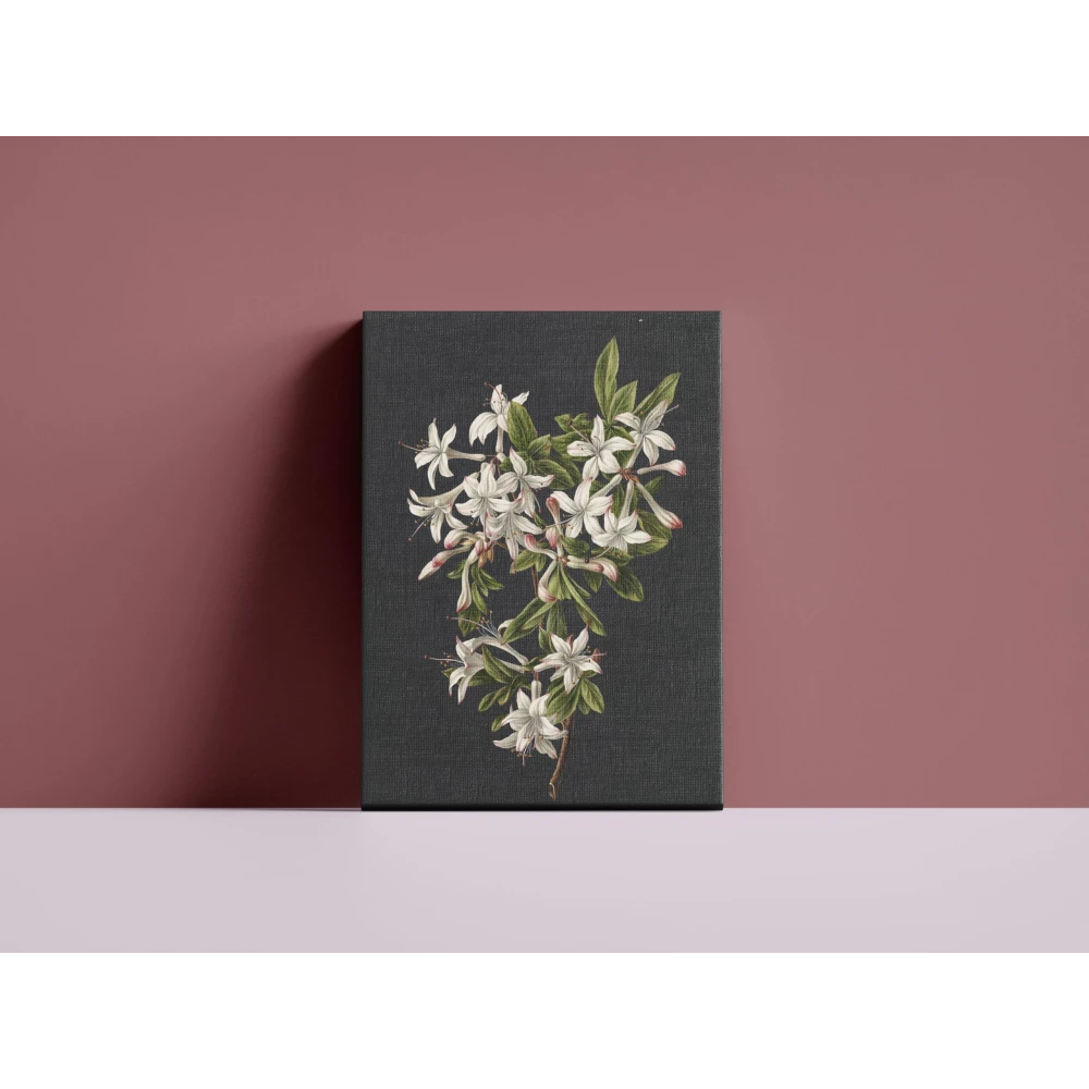 FURNISHUB Branch of Azaleas in Bloom, M. de Gijselaar 1831 | Famous Artwork | Canvas Painting | Gift | Wrapped Museum Finished Canvas