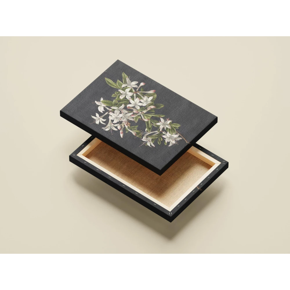 FURNISHUB Branch of Azaleas in Bloom, M. de Gijselaar 1831 | Famous Artwork | Canvas Painting | Gift | Wrapped Museum Finished Canvas