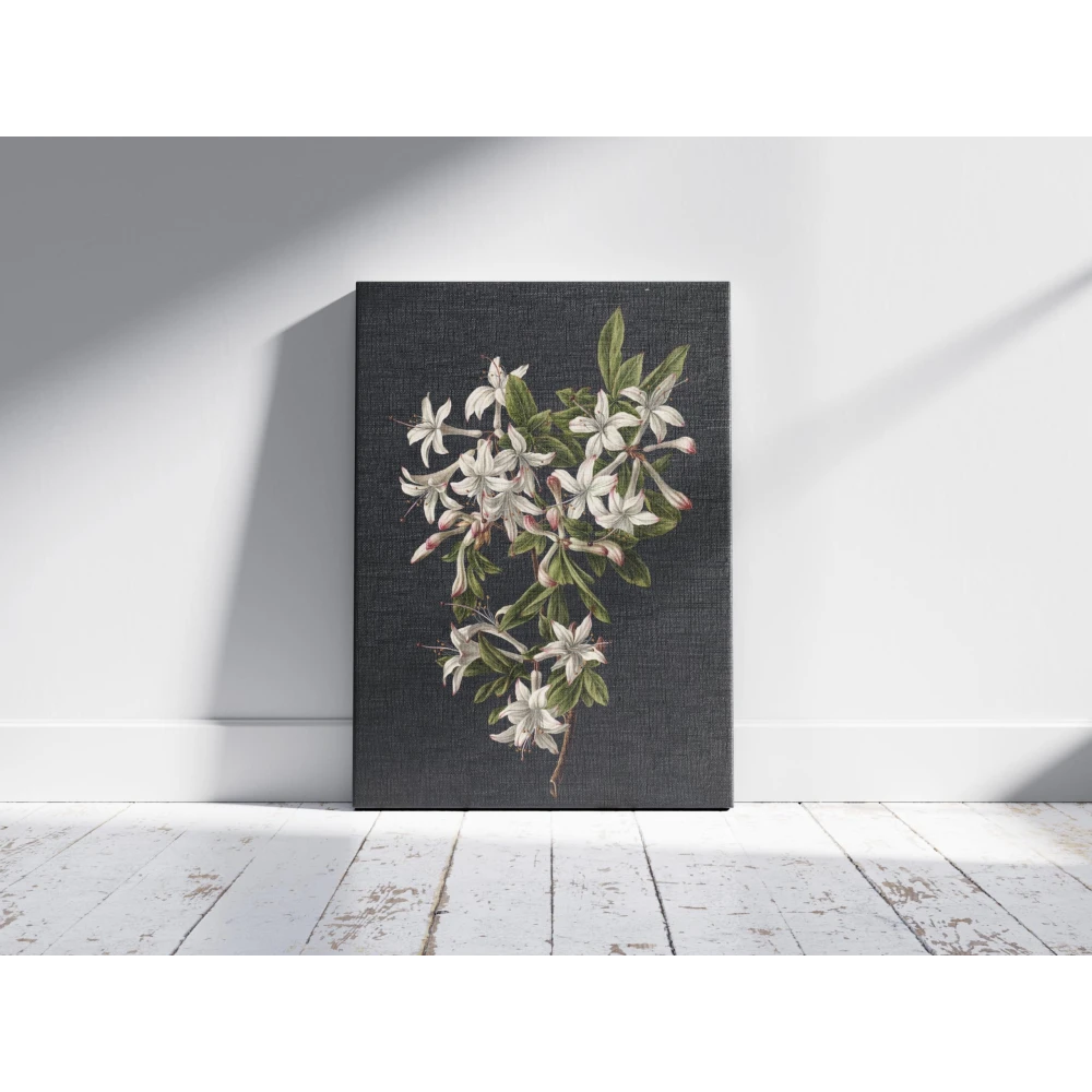 FURNISHUB | Branch of Azaleas in Bloom, M. de Gijselaar 1831 | Famous Artwork, wall décor, Office and Café Decoration, Canvas Painting, Ideal Gift | Wrapped Museum Finished Canvas