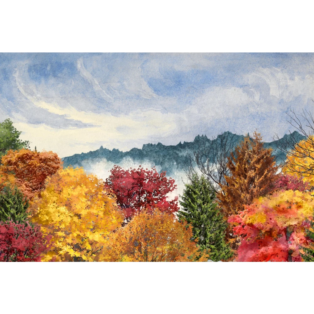 FURNISHUB The Springs in Sikkim_2005 | Landscape Photography Print | Wall Art Capturing Natural Beauty of Sikkim