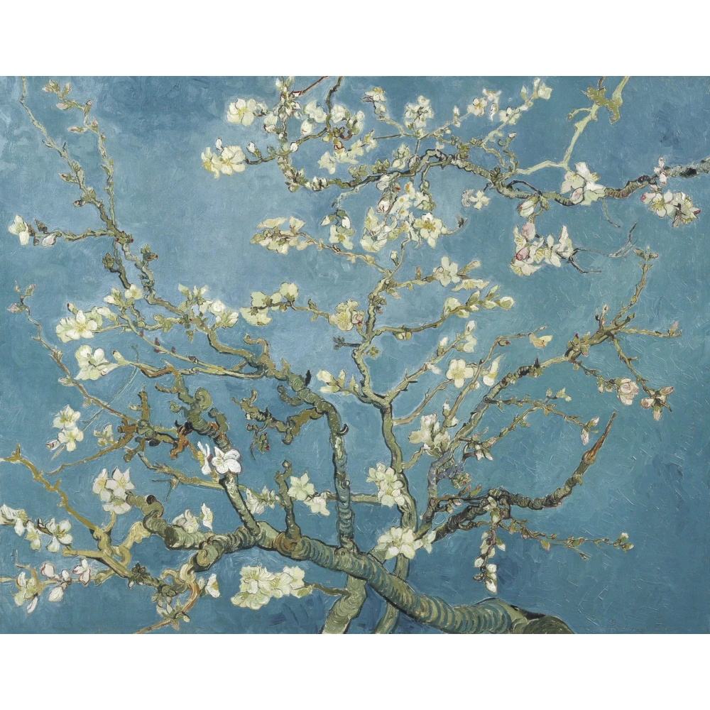 FURNISHUB DECOR Almond Blossoms By Vincent van Gogh Canvas - Famous ArtWork Living Room Canvas Wall art home, Canvas Painting Office Café Home Wall Decor Framed Gift