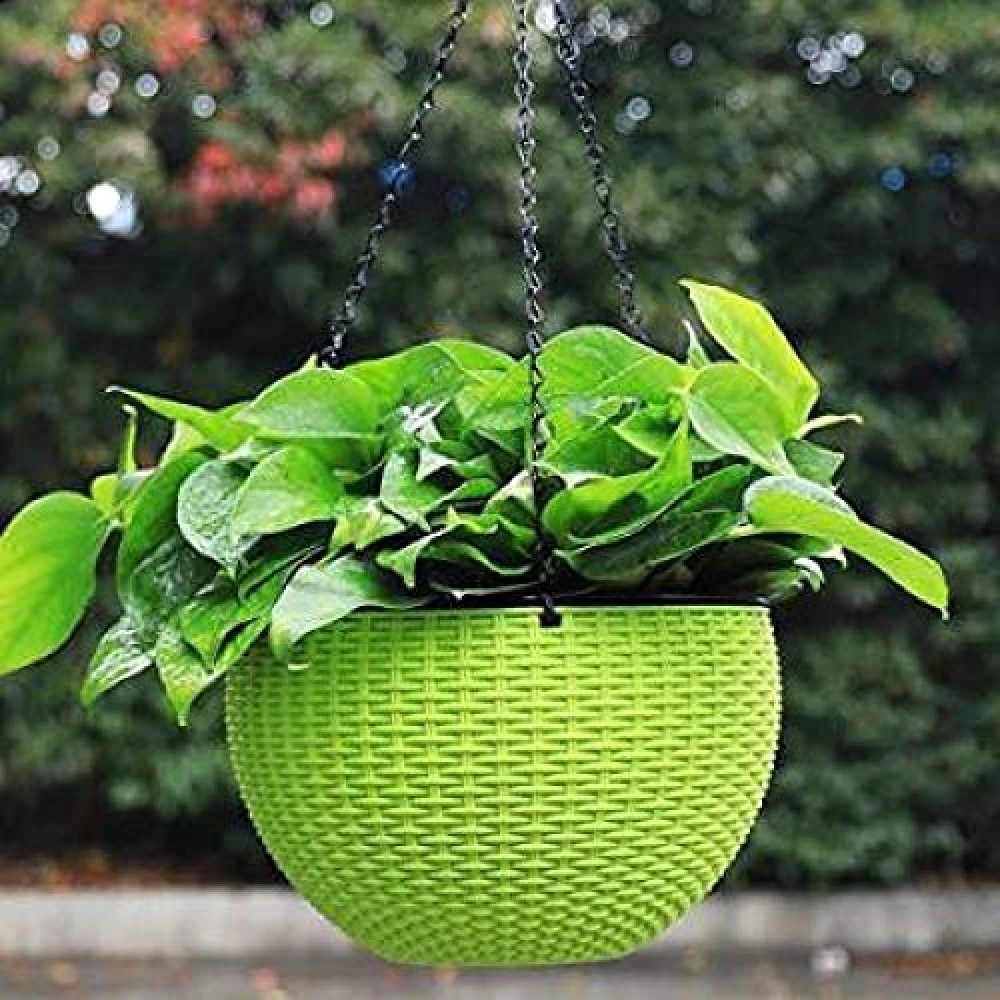 Palomino Plant Container Set (Pack of 3, Plastic)