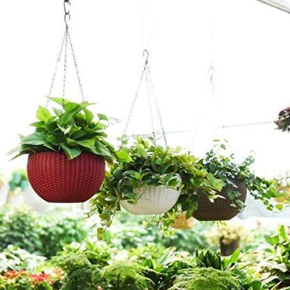 Palomino Hanging Euro Basket Planters Indoor Outdoor Hanging Flower Plant Pot with Hanging Chain Plant Container (Pack of 3, Plastic)