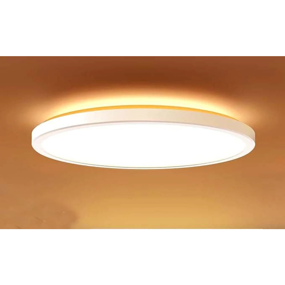 LED Flush Mount Ceiling Light Fixture with Remote Control, BLNAN 12 Inch 24W Round Low Profile Close to Ceiling Lights, 3000K-6500K Ultra Thin Modern Ceiling Lamp for Bedroom Kitchen
