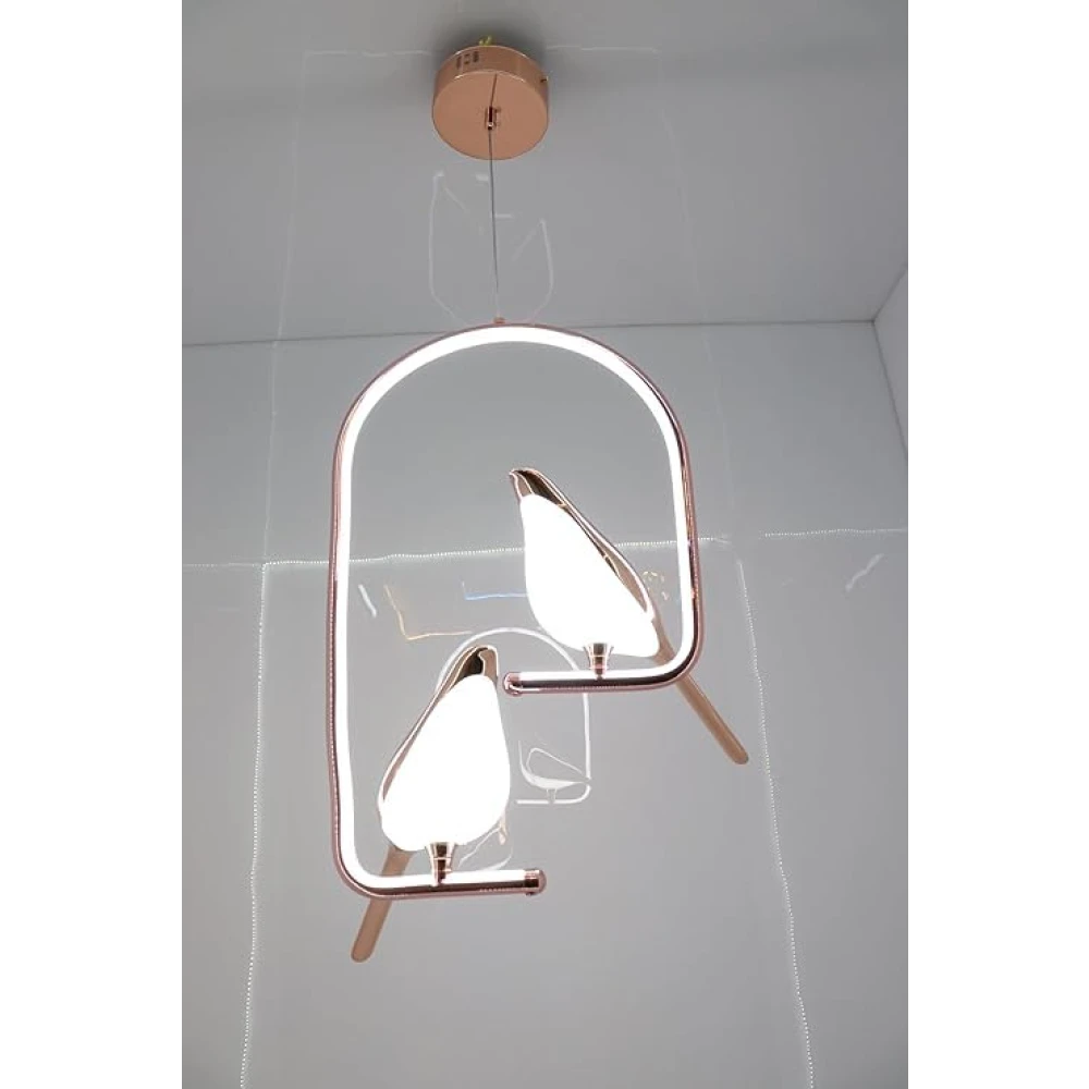 SHRI MAHAL ANTIQUES Metal Chirpy Twin Pendant Hanging Lights for Living Room Lights: Double Delight