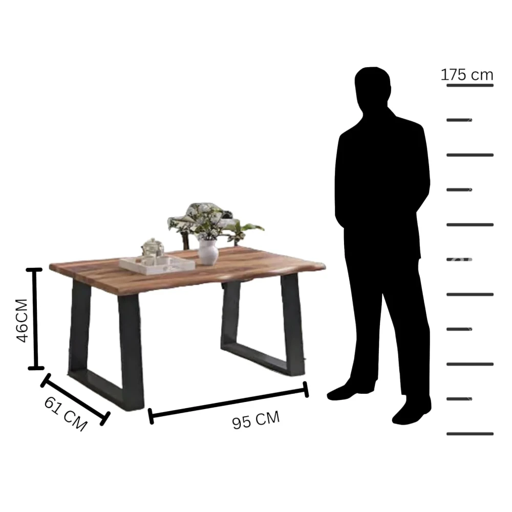 Orchid Homez Livedge Modern Coffee Center Table Living Room