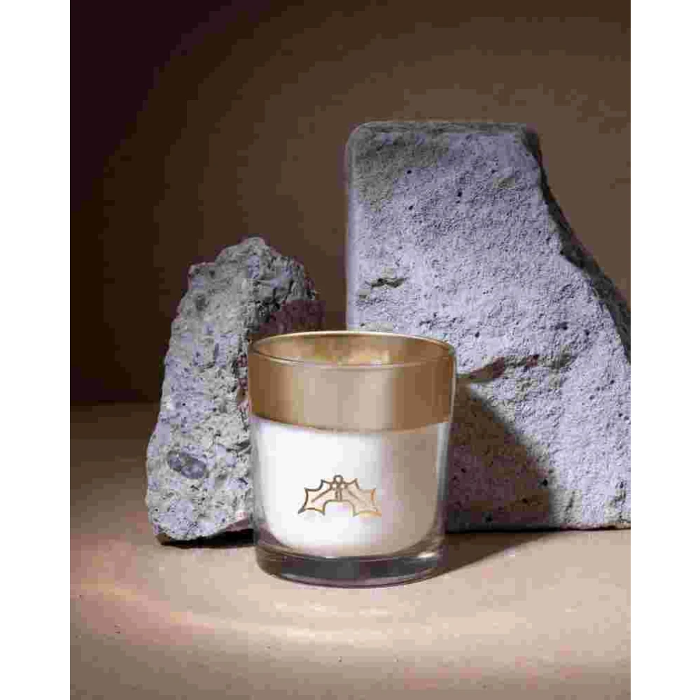 Enchanté Collection – Mistletoe Scented Candle | Winter Woods Holiday Fragrance